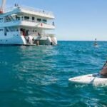 Cabo Rey Snorkel Barco Tour2