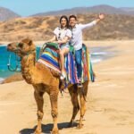 CamellosLosCabos3